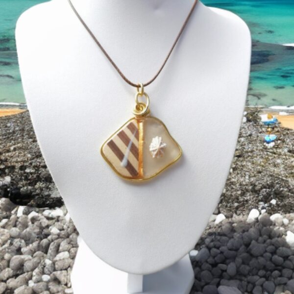 This little shell is enchanting! 